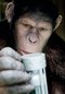 Filmplakat Planet der Affen: Prevolution